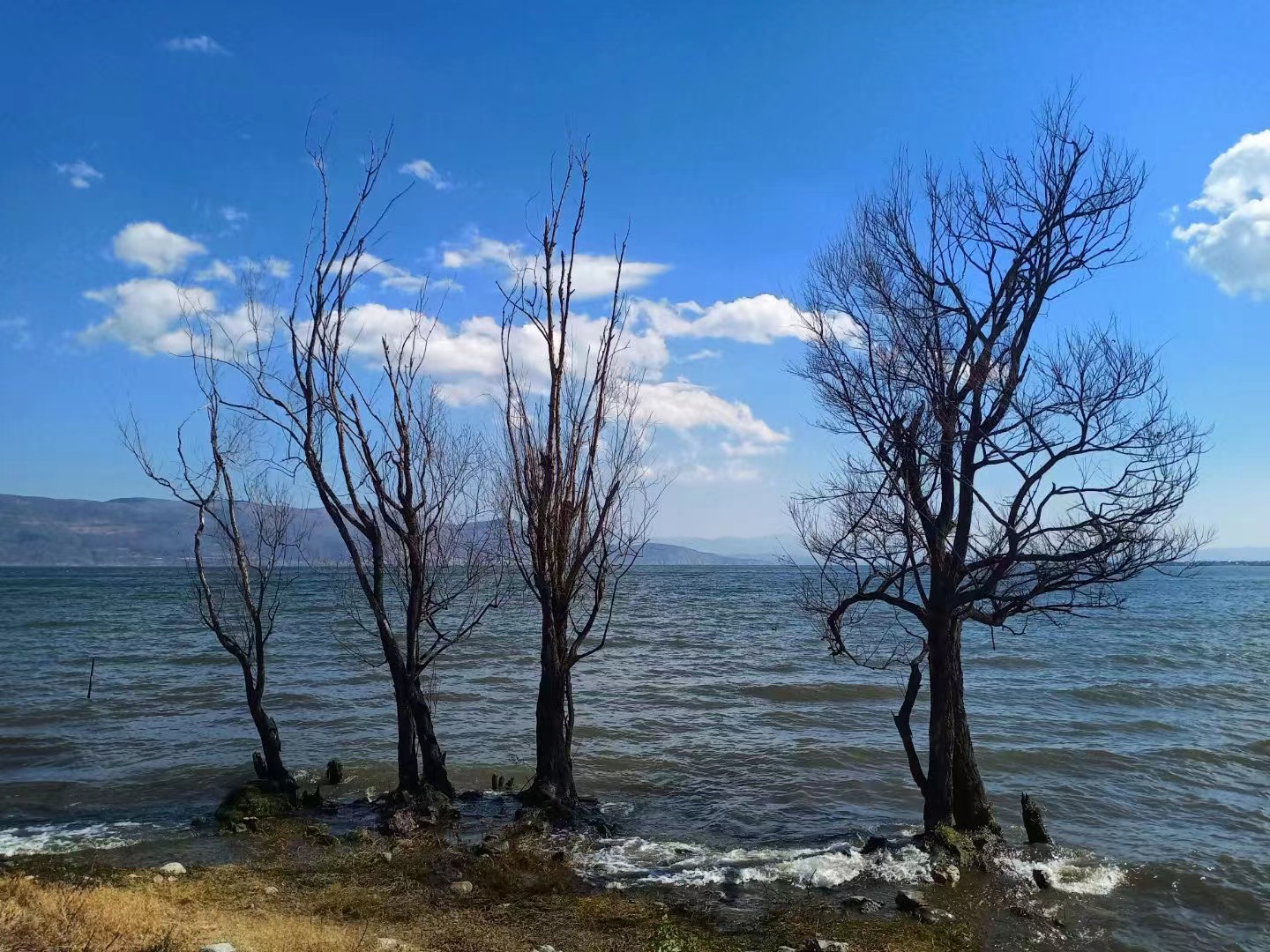 开封地市局的地基一开吸收合并函快河南地基一分立要求