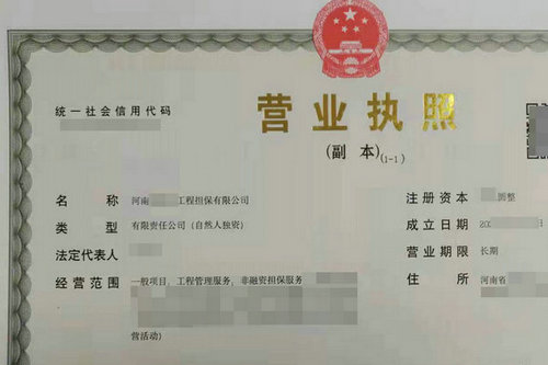 商丘公司注册时给公司起名字可以用成语吗